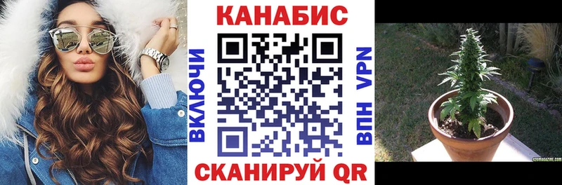 Магазин наркотиков Соль-Илецк A PVP Амфетамин Бошки Шишки Гашиш