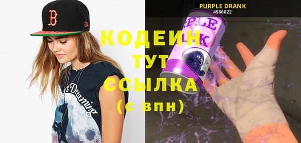 бошки Инта