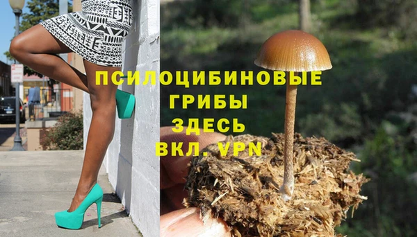 молекула духа Иннополис