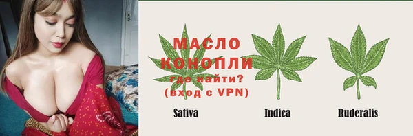 гашик Инсар