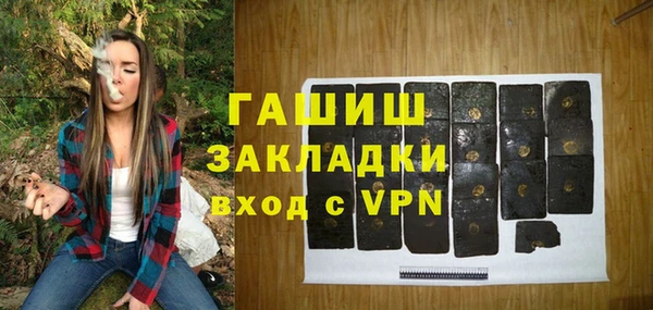 бошки Инта
