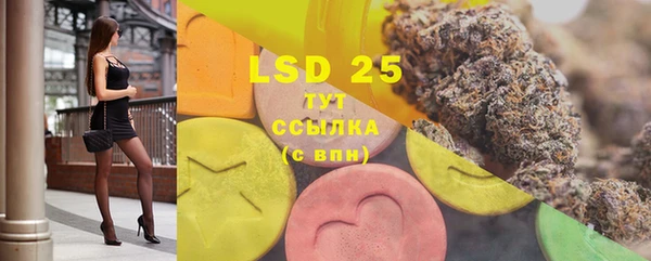 бошки Инта