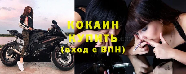 бошки Инта