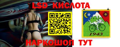 стаф Донской