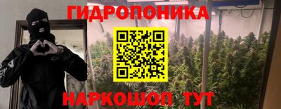 стаф Донской