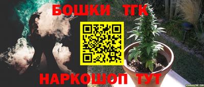 стаф Донской