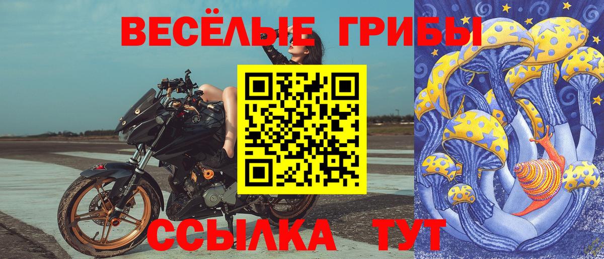 Галлюциногенные грибы мицелий Соль-Илецк