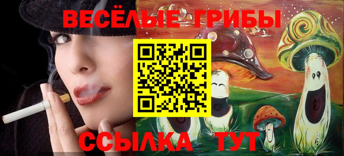 Псилоцибиновые грибы мухоморы  Вход с VPN  Соль-Илецк 