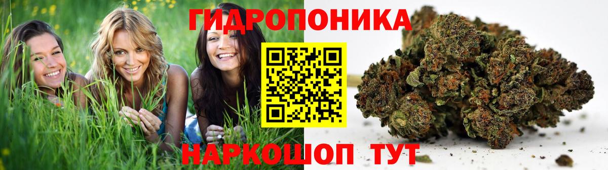 МАРИХУАНА план Соль-Илецк